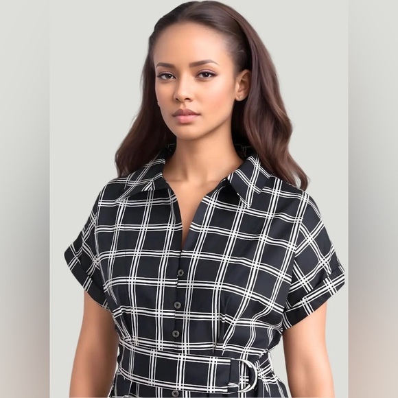 Universal Standard Sandy Stretch Poplin Shirt Dress - Picture 6 of 10